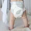 DAY NATURE - KOLORKY DAY NATURE - Feuilles - D-NTR-LVS-S - Taille S (3 - 6 kg)